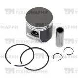 Поршень Arctic Cat 500 (T-Moly, номинал) 09-605