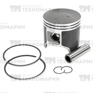 Поршень Arctic Cat 600 (T-Moly, номинал) 09-609