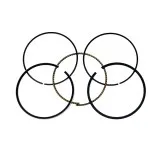 Поршневые кольца BRP 600/900 ACE (номинал) 010-964