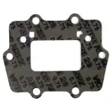 Прокладка лепесткового клапана Kawasaki 007-309