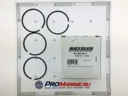 Набор поршневых колец (STD) 9.9/15